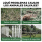 Luces de advertencia solares repelentes de bestias con volumen alto