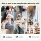 🐶🎒 Porteador Portátil Transpirable para Mascotas 2 en 1 – Huésped + Mochila | Cualquier Lugar, Cualquier Momento!