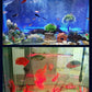 💕💕LED Acuario colorido aire burbuja luz