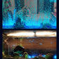 💕💕LED Acuario colorido aire burbuja luz