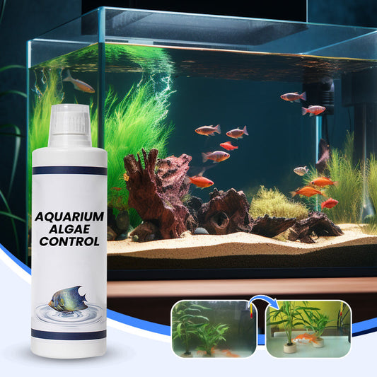 Control de las algas del acuario