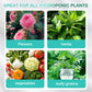 Solución hidropónica de nutrientes para el crecimiento de las plantas