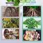 Solución hidropónica de nutrientes para el crecimiento de las plantas