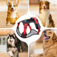 🐶 LED No-Pull Dog Harness Kit with Leash – Safer, More Comfortable Walks Day & Night