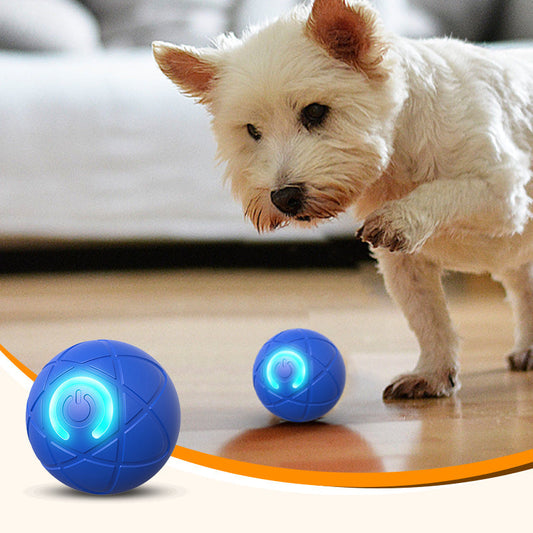🎉 ¡50% de Descuento + Envío Gratis! Pelota Interactiva Diseñada Especialmente para Perros 🐾