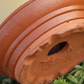 🌿 ¡50% DE DESCUENTO AHORA! 🔥 Almohadillas Cónicas para el Fondo de Macetas – Mejora el drenaje y la aireación de las raíces – Previene la pudrición 🌻