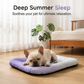 🎁Nuevos Lanzamientos 2026 50% OFF💥Alfombra Refrescante de Gel para Mascotas – Alivio del Calor de Verano, Transpirable, No Tóxica, Colchoneta Fresca para Dormir para Perros y Gatos