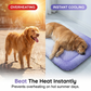 🎁Nuevos Lanzamientos 2026 50% OFF💥Alfombra Refrescante de Gel para Mascotas – Alivio del Calor de Verano, Transpirable, No Tóxica, Colchoneta Fresca para Dormir para Perros y Gatos