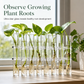 🌷 LIMITED-TIME 50% OFF! ✨ Clear Glass Test Tube Vase Set – With Cleaning Brush, Hydroponic Plant Propagation Station 🪴